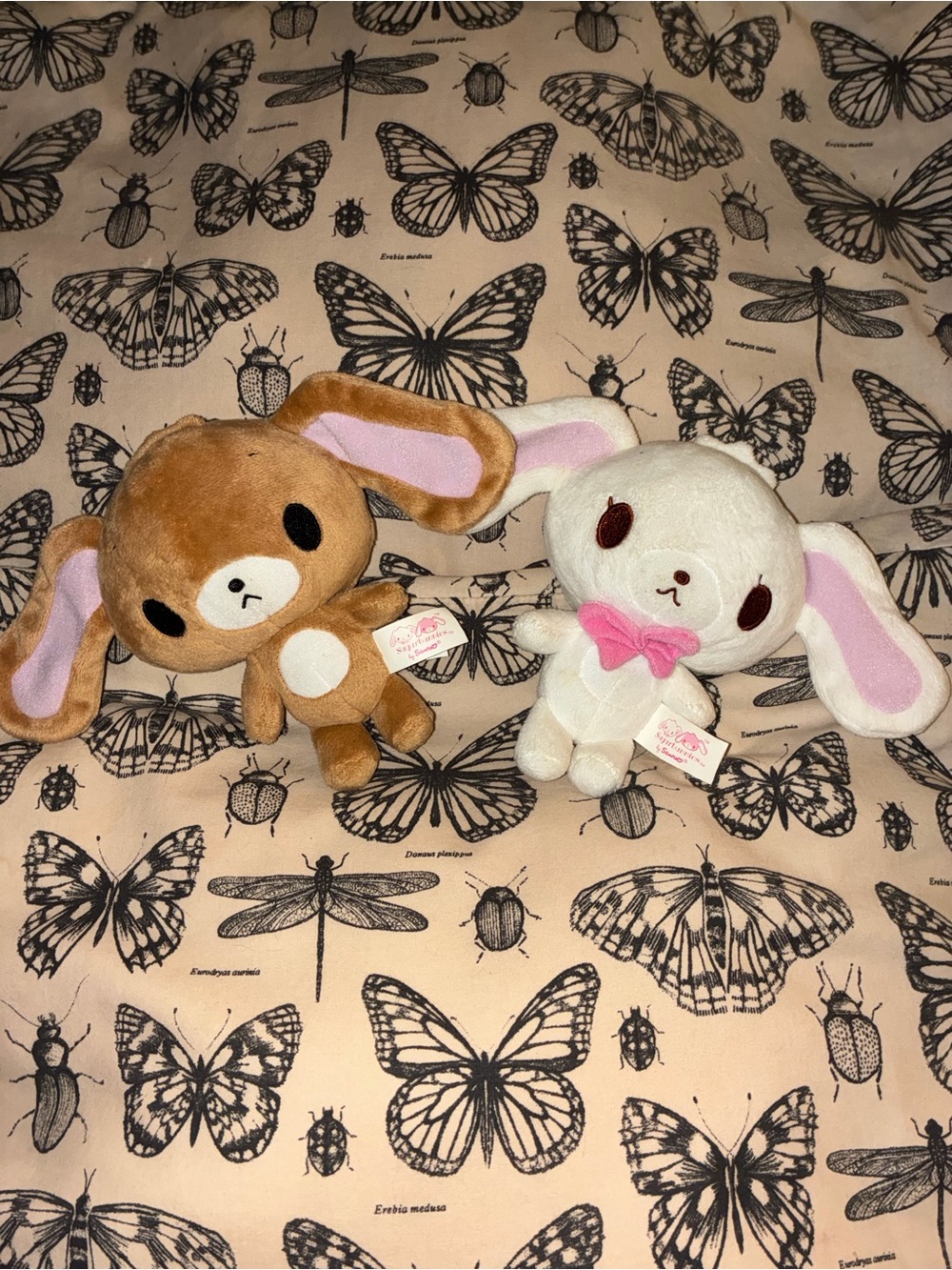 rare sugarbunnies plushies